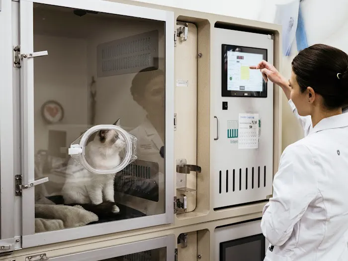 The Animal Cardiology Center Picture 10