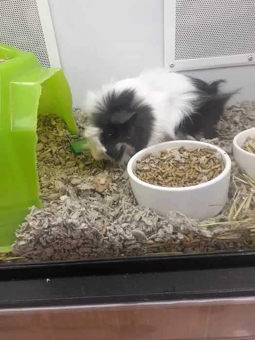 Petco Picture 9