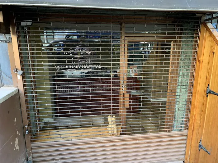 Cooper Square Veterinary Hospital Picture 1