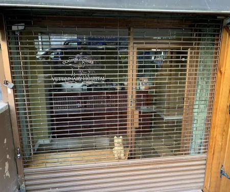 Cooper Square Veterinary Hospital