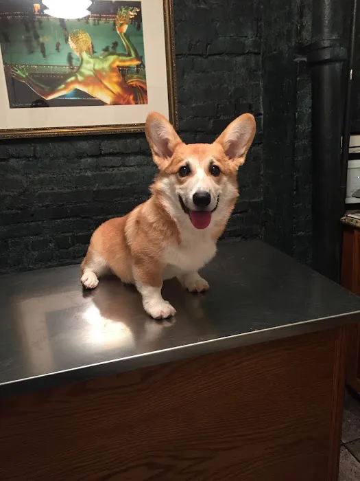 Cooper Square Veterinary Hospital Picture 2