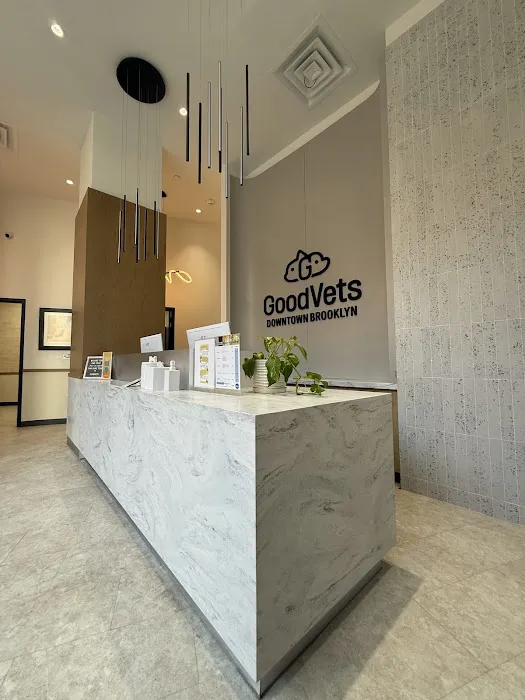 GoodVets Downtown Brooklyn Picture 3