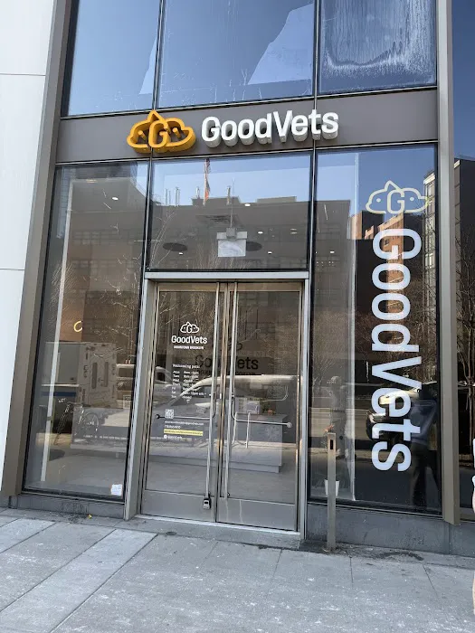 GoodVets Downtown Brooklyn Picture 10