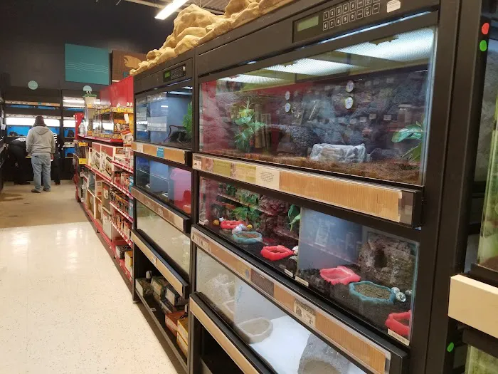 Petco Picture 2