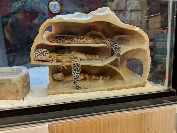 Petco Picture 10