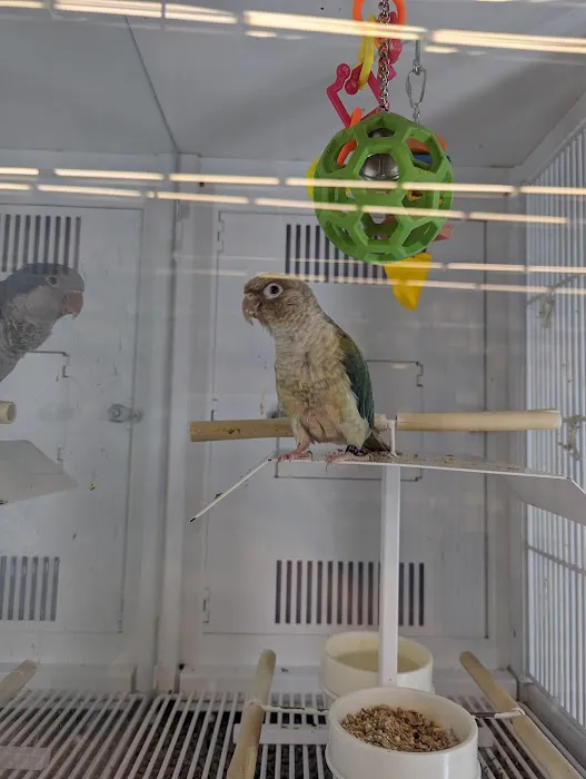 Petco Picture 5