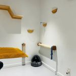 All Ears Veterinary