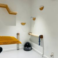 All Ears Veterinary ico