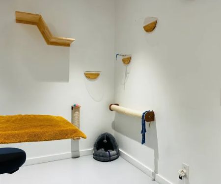 All Ears Veterinary