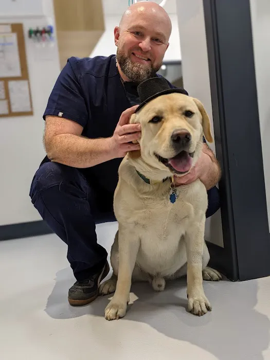 All Ears Veterinary Picture 6