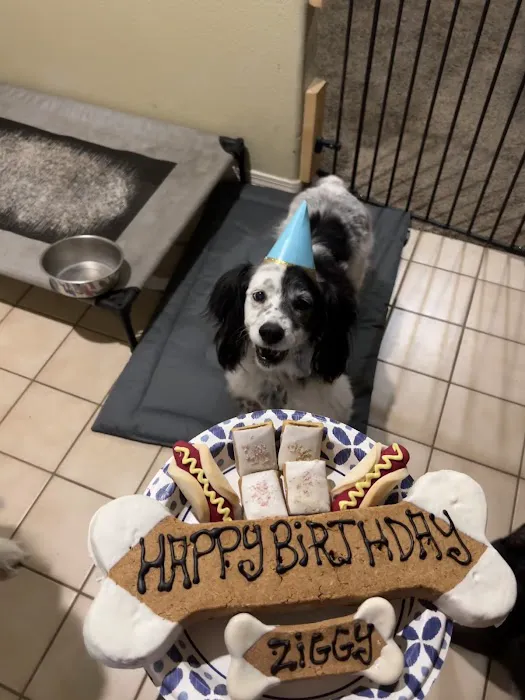 Three Dog Bakery Albuquerque Picture 4