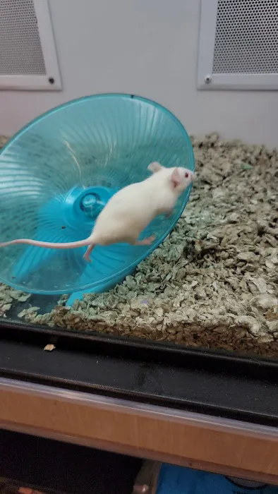 Petco Picture 2