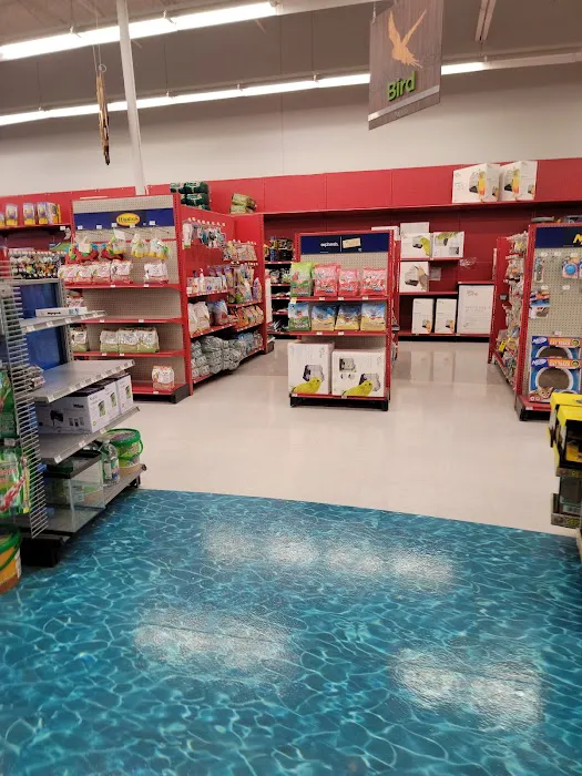 Petco Picture 9