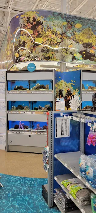 Petco Picture 7