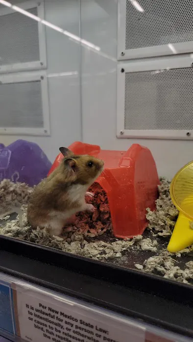 Petco Picture 8