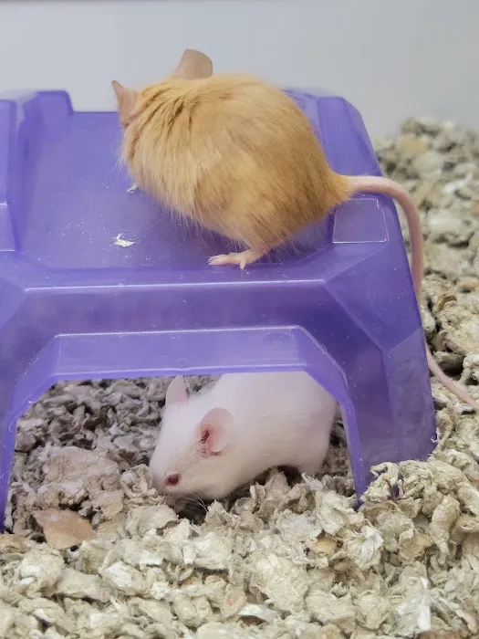 Petco Picture 4