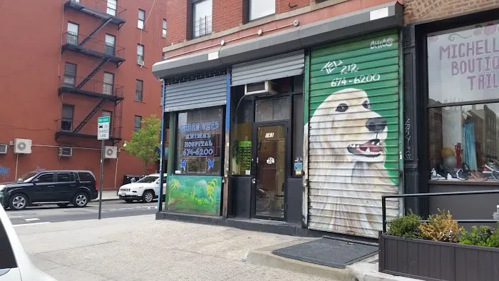 Urban Vets Animal Hospital Picture 3