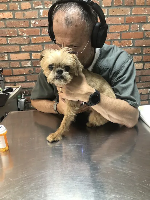 East Village Animal Clinic Picture 6