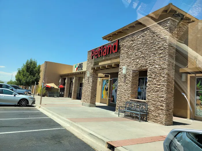 Petland Albuquerque Picture 7