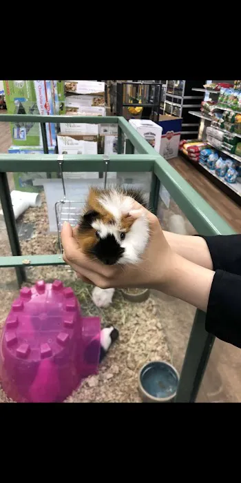 Petland Albuquerque Picture 9