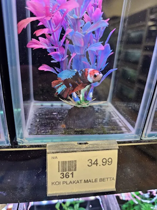 Petland Albuquerque Picture 10
