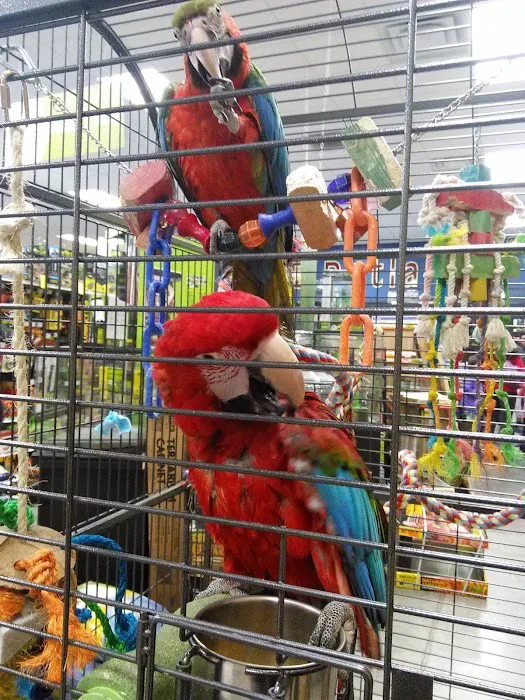 Petland Albuquerque Picture 4