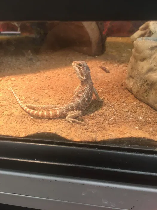 Petland Albuquerque Picture 8