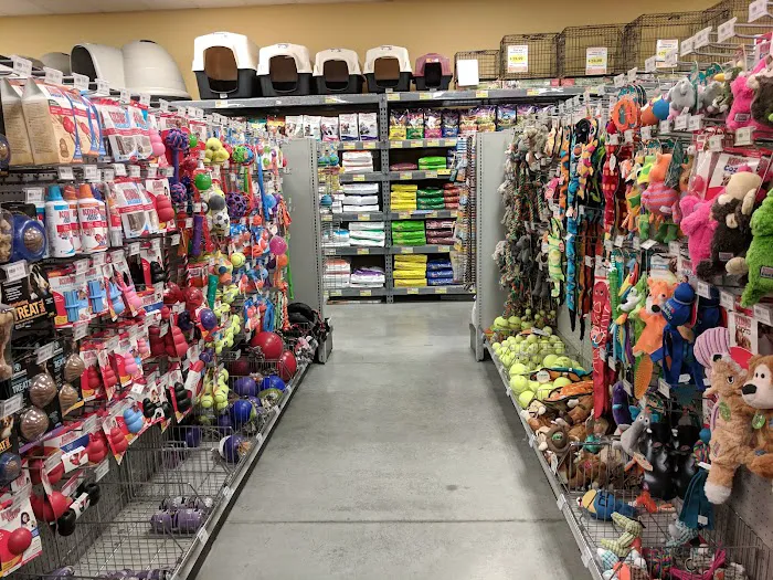 Petland Albuquerque Picture 5