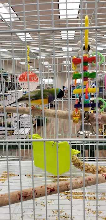 Petland Albuquerque Picture 2