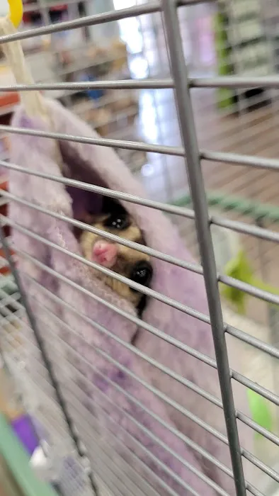 Petland Albuquerque Picture 1