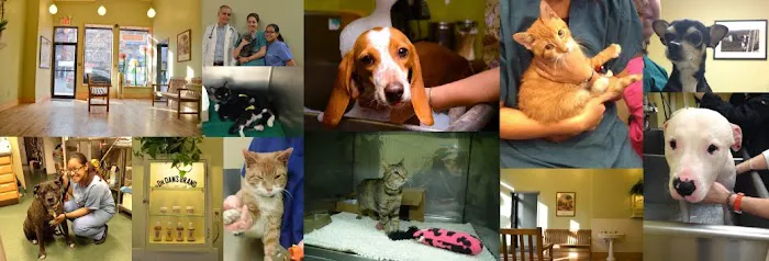 ABC Animal Hospital Picture 3