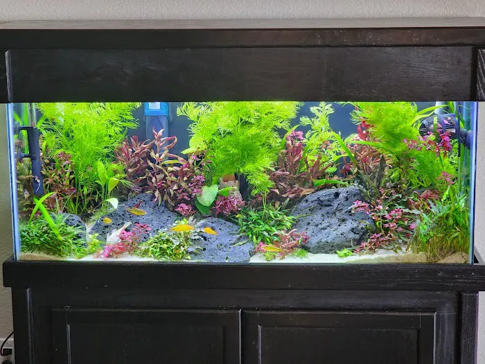 The Fish Room Picture 3