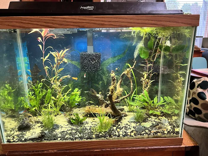 The Fish Room Picture 2