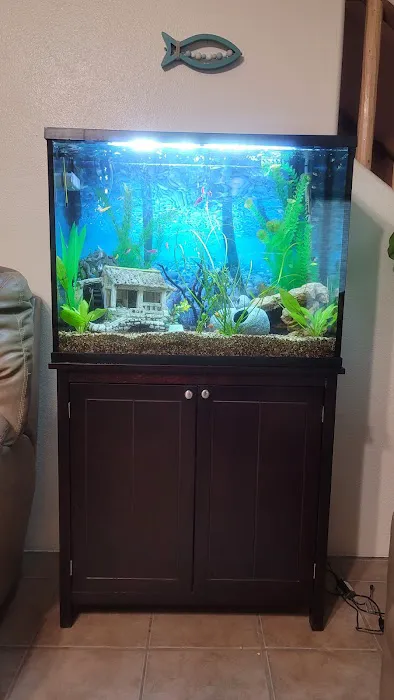 The Fish Room Picture 6