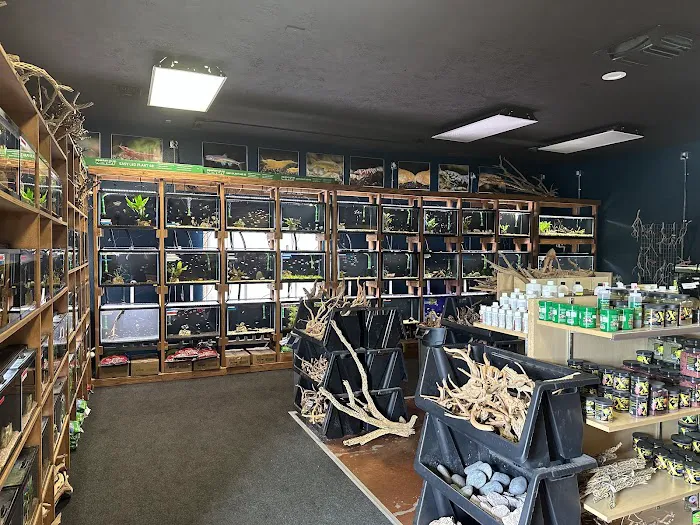 The Fish Room Picture 4