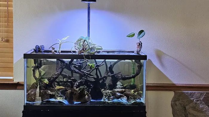 The Fish Room Picture 5