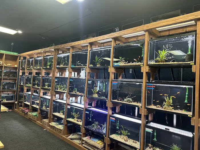 The Fish Room Picture 10
