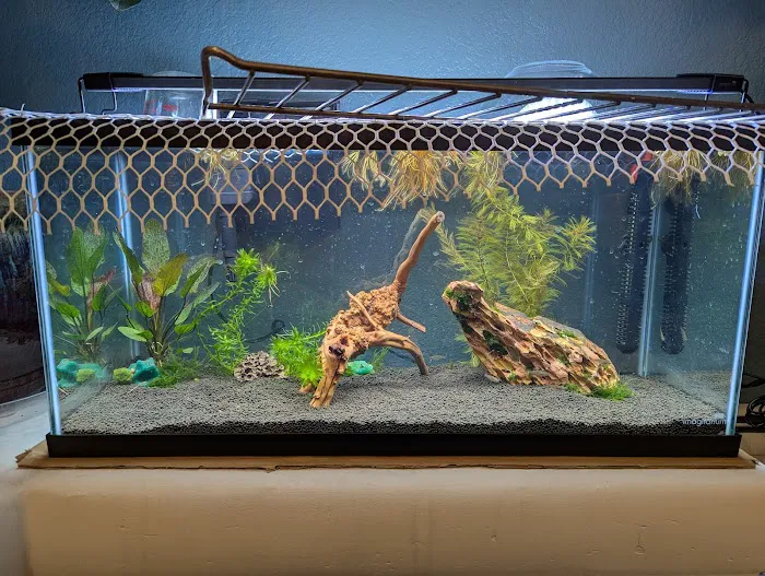 The Fish Room Picture 8