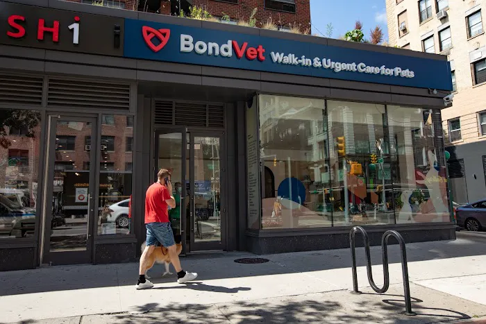 Bond Vet - Chelsea Picture 2