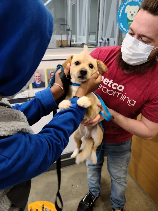 Petco Picture 4