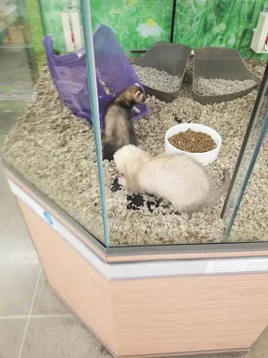 Petco Picture 7