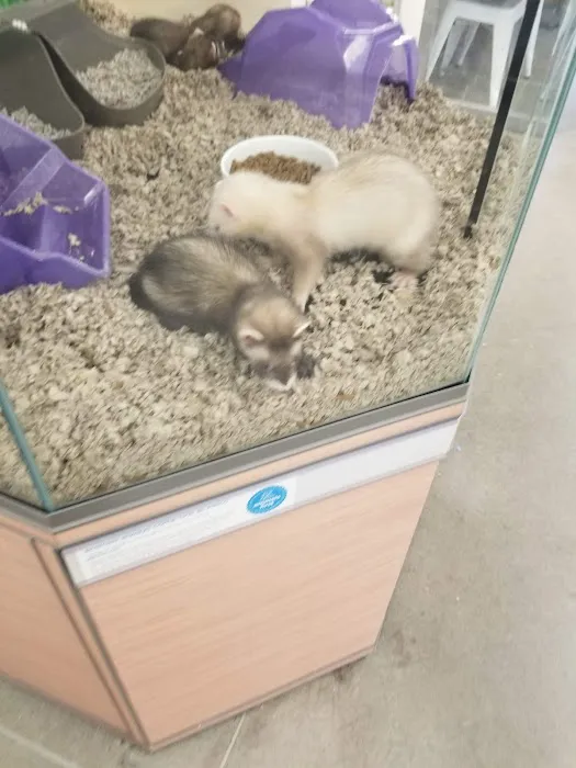 Petco Picture 1