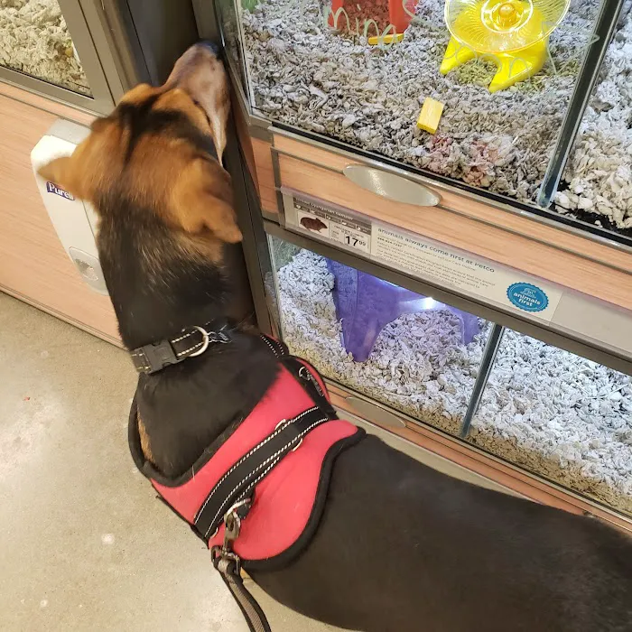 Petco Picture 3
