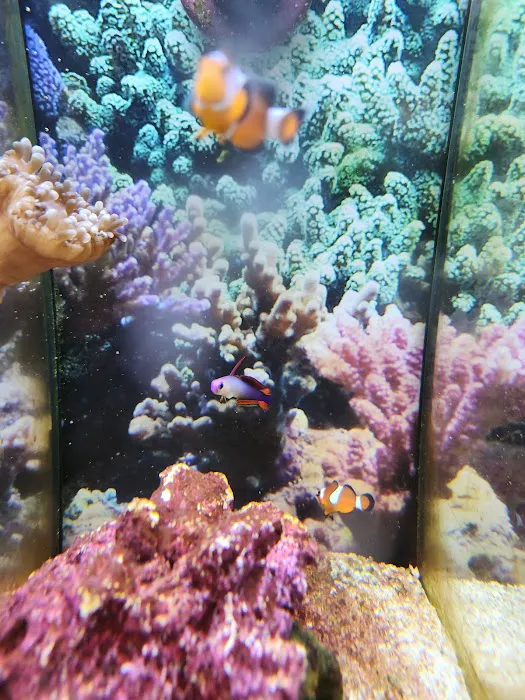 Petco Picture 9