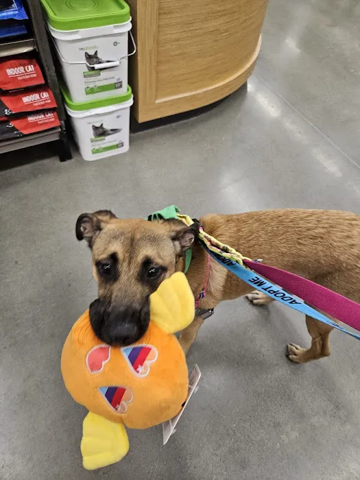 Petco Picture 10