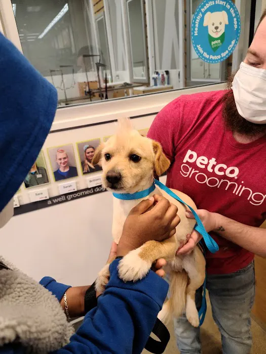 Petco Picture 2