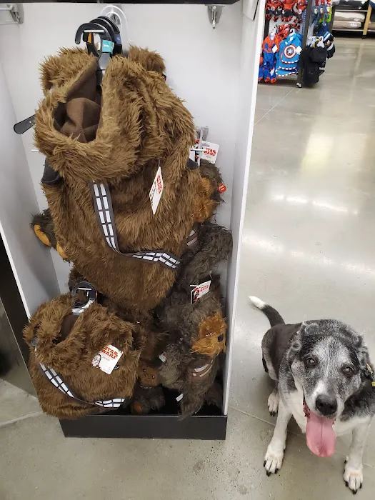 Petco Picture 6
