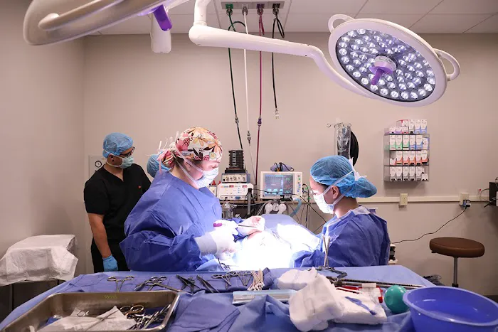 BluePearl Pet Hospital Picture 6