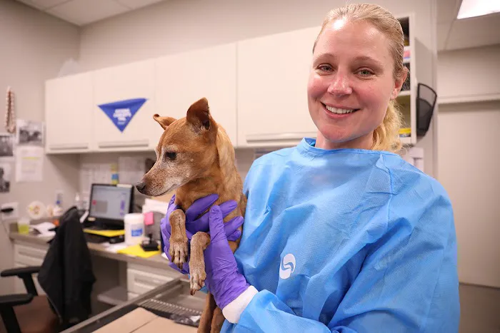 BluePearl Pet Hospital Picture 4