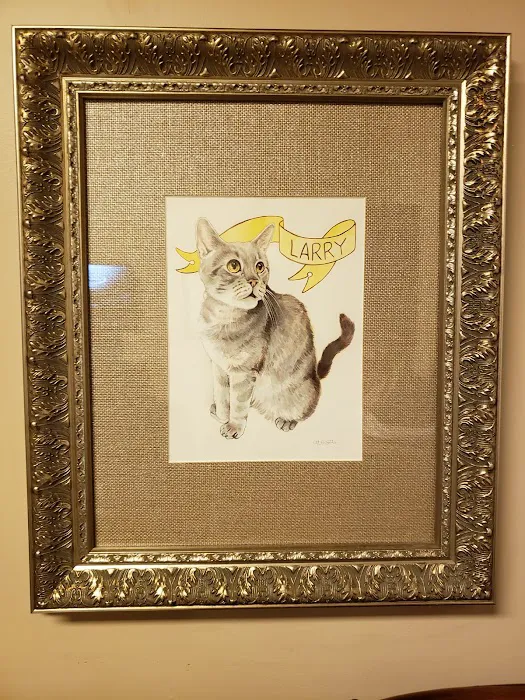 The Cat Practice Picture 10